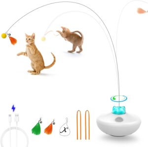 Interactive Cat Toys