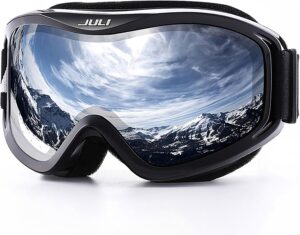 Ski Goggles