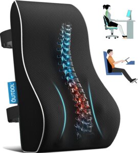 Back Support Pillow